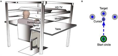 Motor Deficits in the Ipsilesional Arm of Severely Paretic Stroke Survivors Correlate With Functional Independence in Left, but Not Right Hemisphere Damage